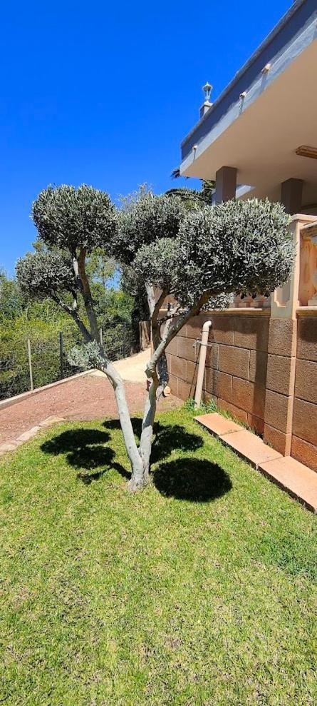 Villa Capllonch บานยัลบูฟาร์ ภายนอก รูปภาพ